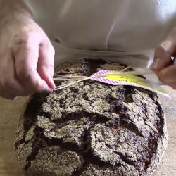 Bakery Documentation Soundtrack