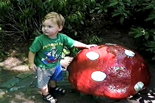 Tim 1995 Paddestoel Efteling
